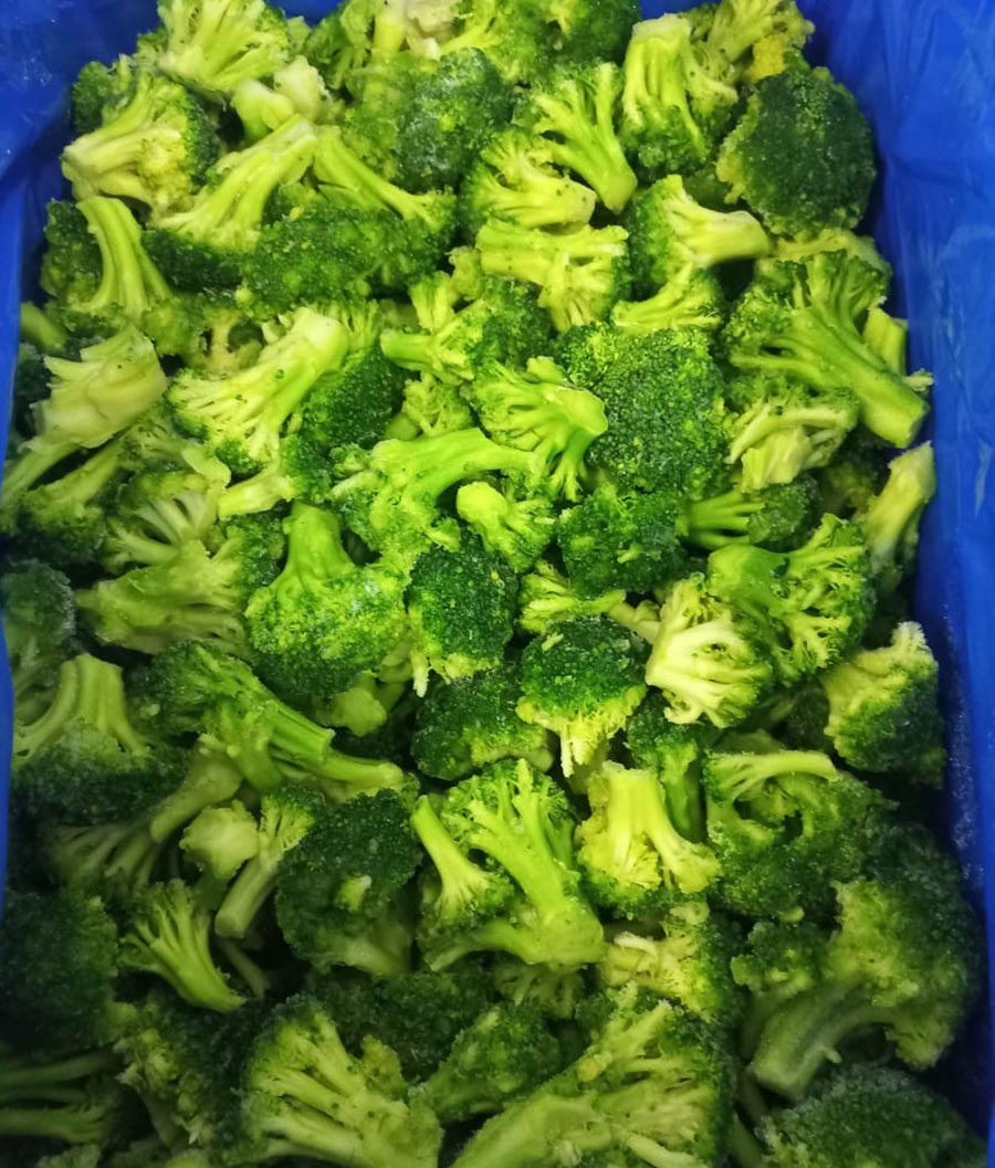 Frozen Broccoli