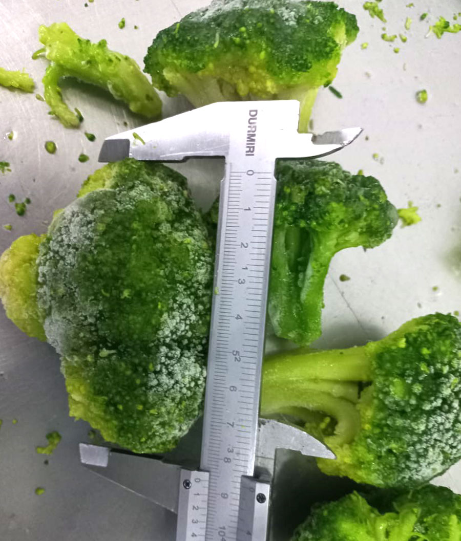 Frozen Broccoli