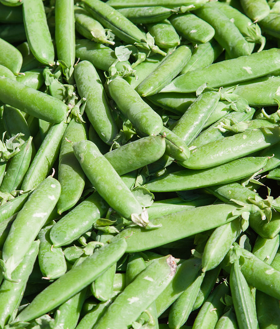 Frozen Peas